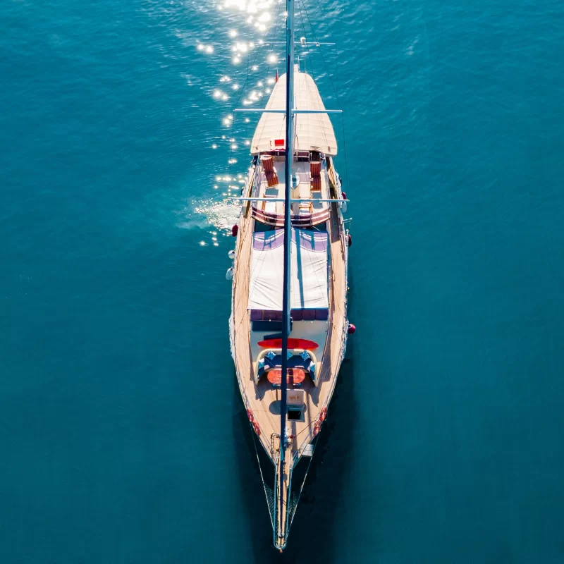 Nuray Charter