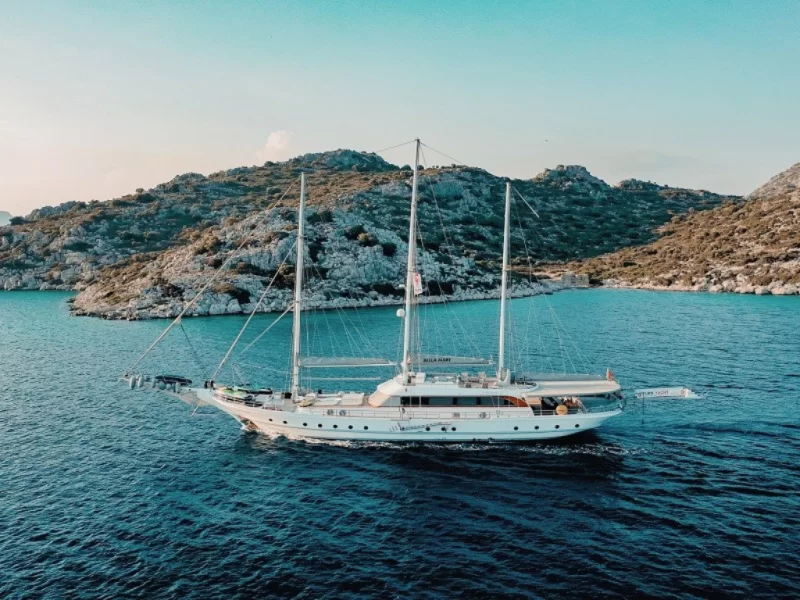 Bella Male Charter