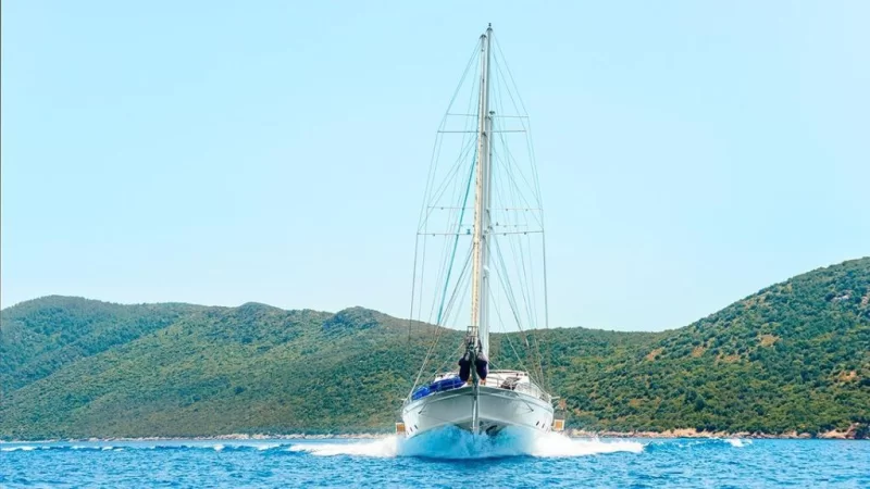 Bella Male Charter