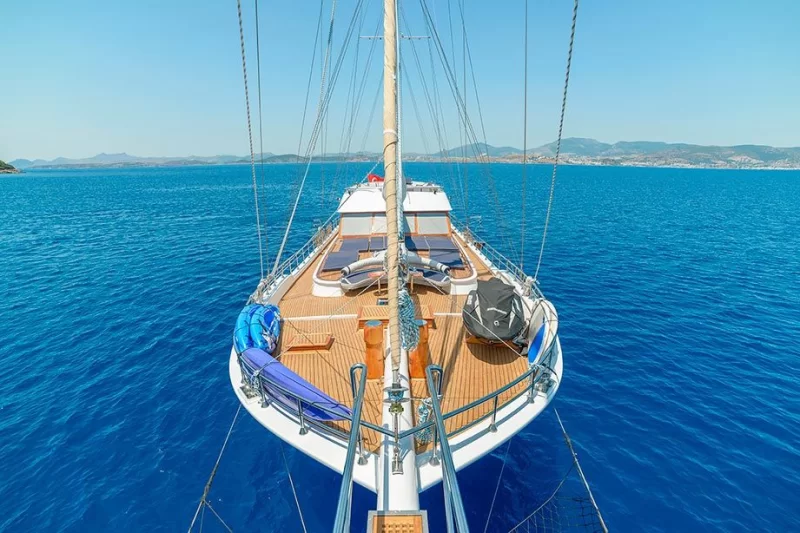Bella Male Charter