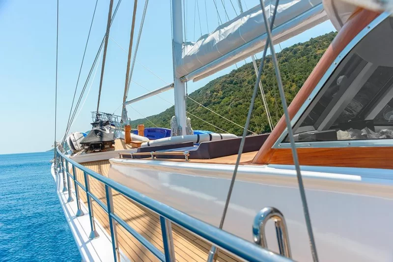 Bella Male Charter