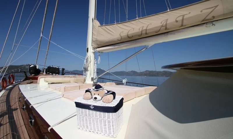 Schatz Charter