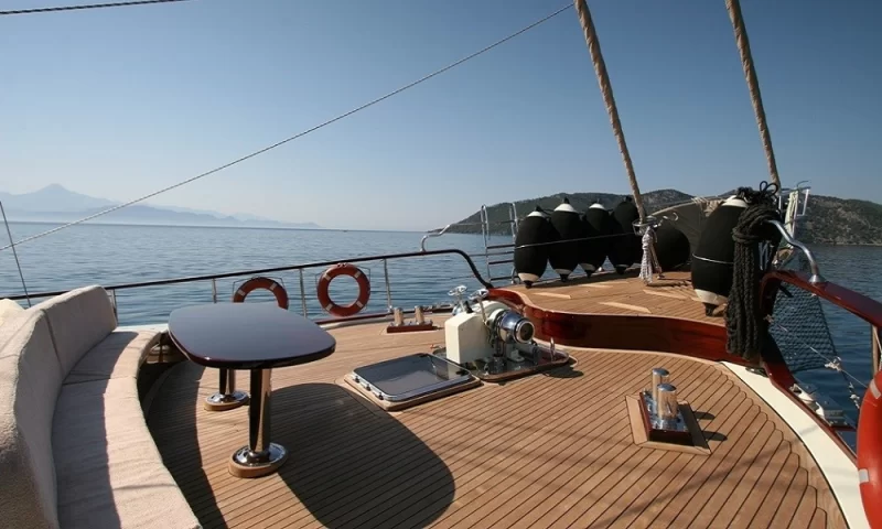 Schatz Charter