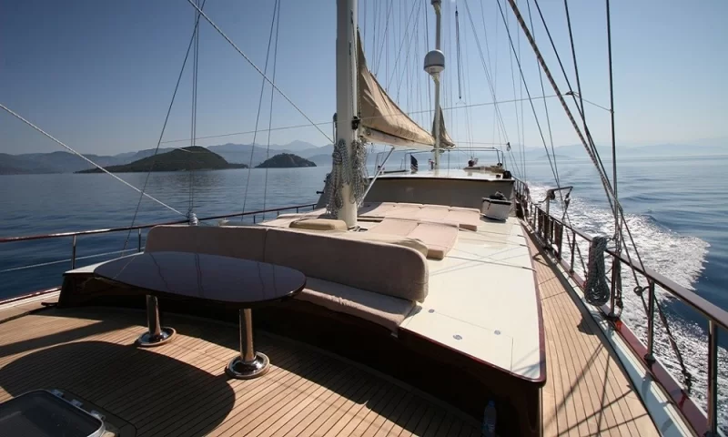 Schatz Charter