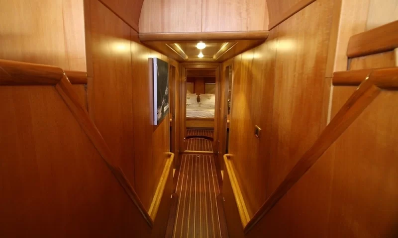 Schatz Charter