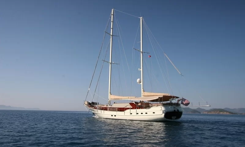 Schatz Charter