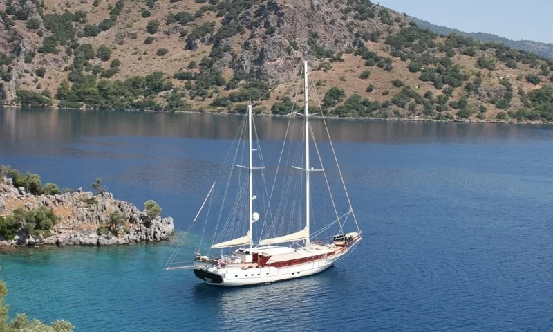 Schatz Charter