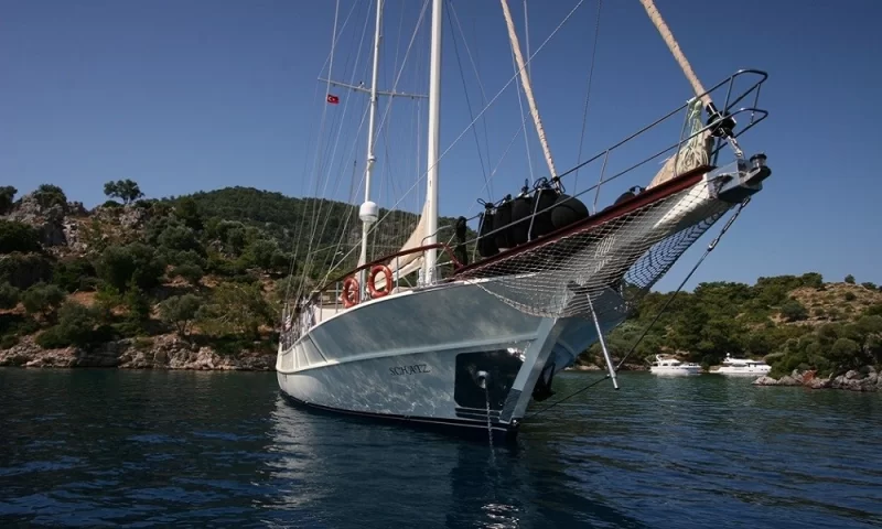 Schatz Charter