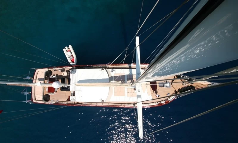 Schatz Charter