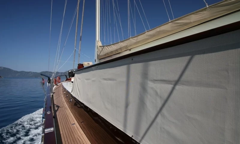 Schatz Charter