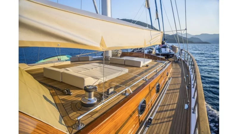 Wicked Felina Charter