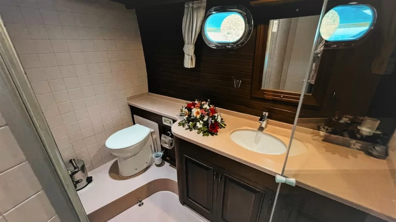 Wicked Felina Charter