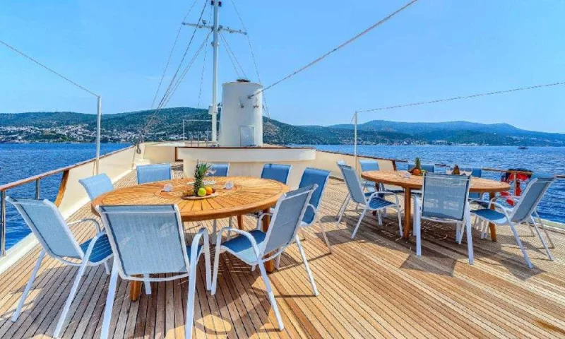 Elara 1 Charter
