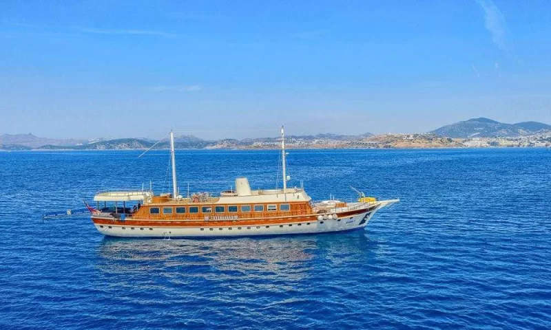 Elara 1 Charter
