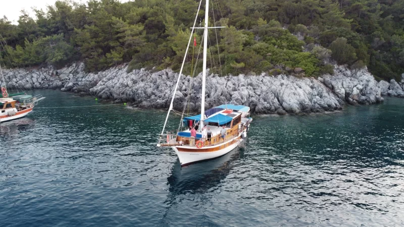 Mustafa Charter