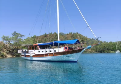 Mustafa Charter