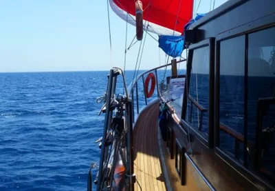 Mustafa Charter