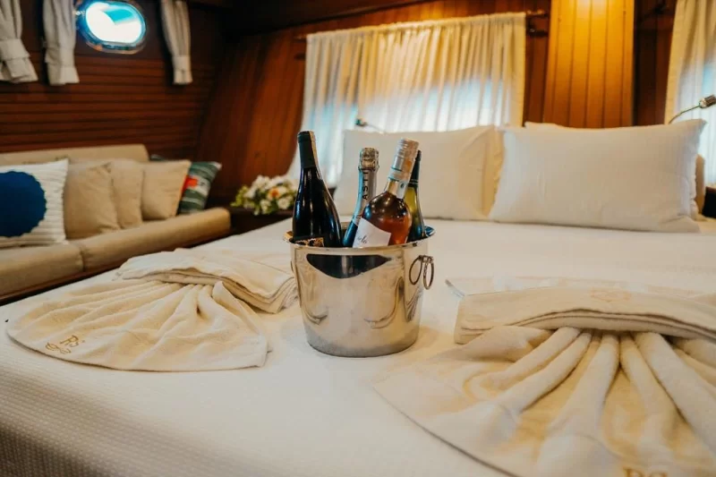 Wicked Felina Charter