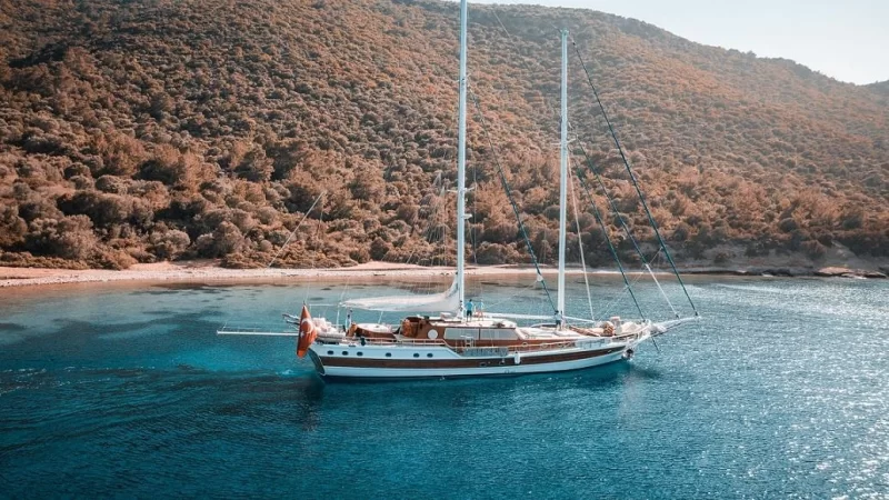 Wicked Felina Charter
