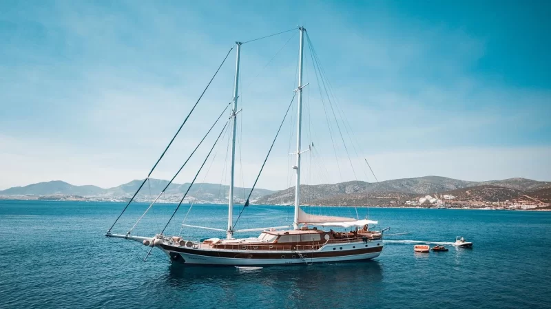 Wicked Felina Charter