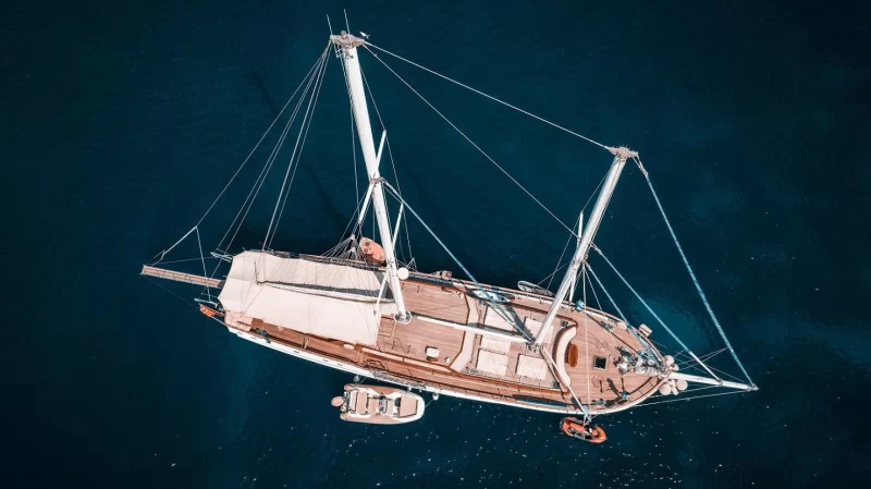 Wicked Felina Charter