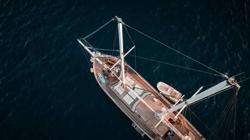 Wicked Felina Charter