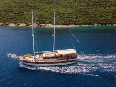 Optimist Charter