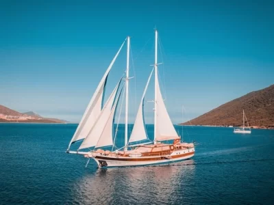 Wicked Felina Charter
