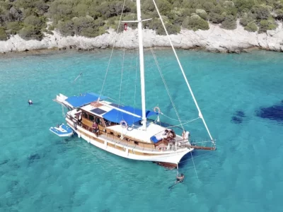 Mustafa Charter