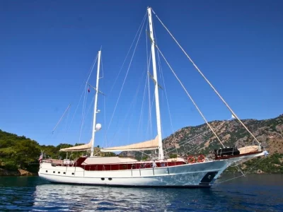 Schatz Charter